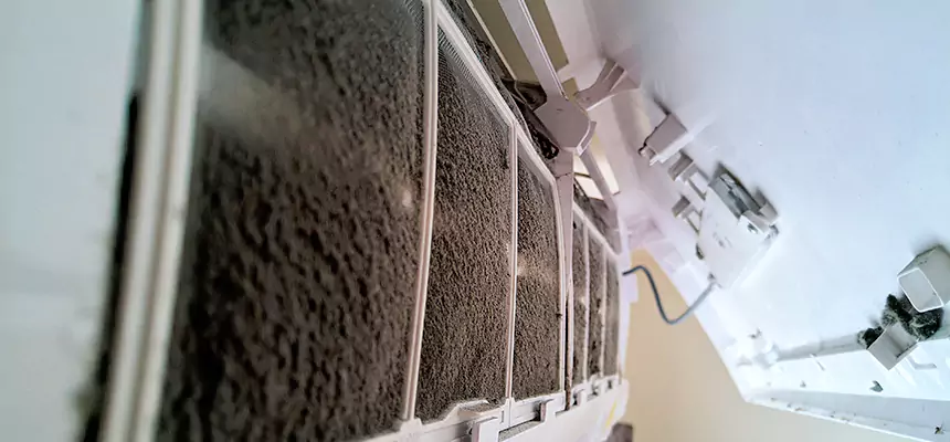 Preventive Air Duct Bacteria Removal in Woburn