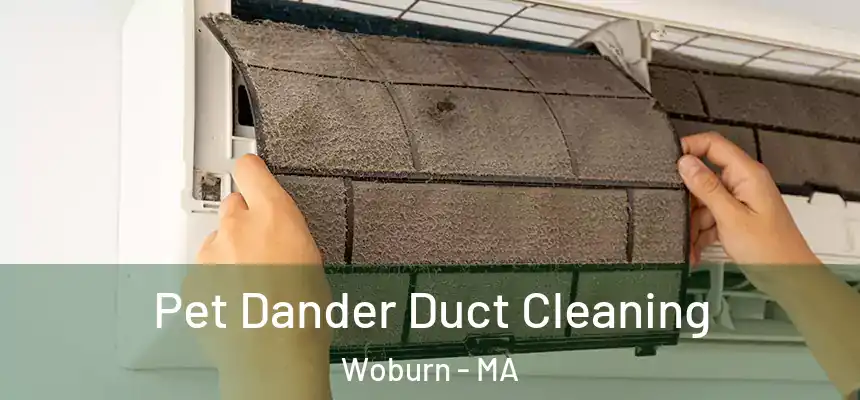 Pet Dander Duct Cleaning Woburn - MA