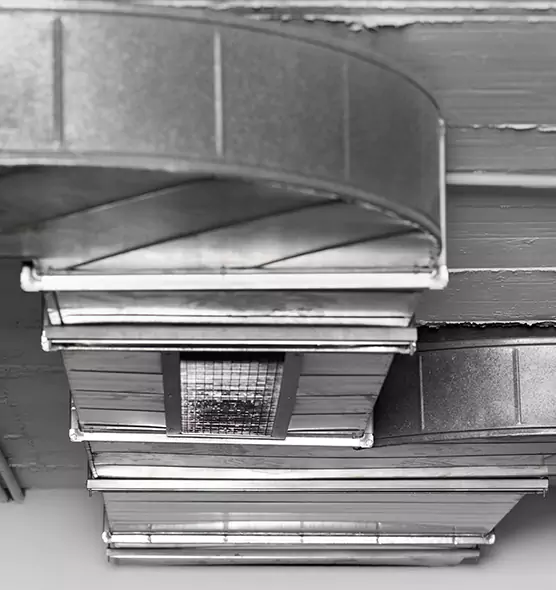 Professional Air Duct Pest Removal in Woburn, MA