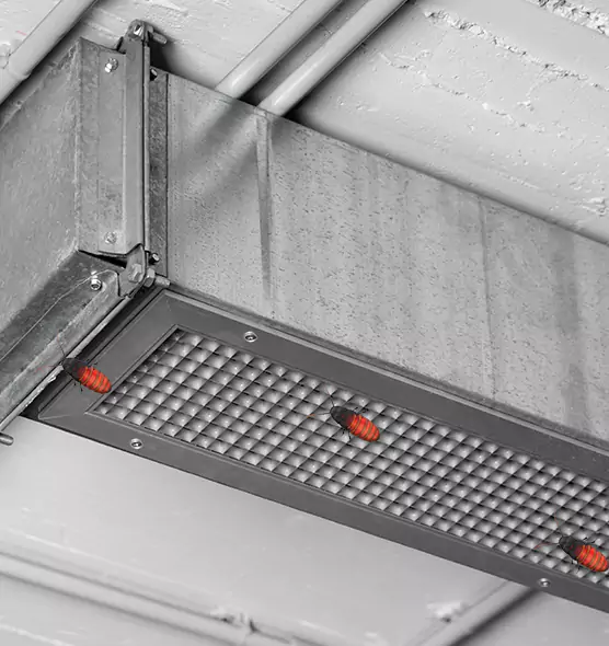 Affordable Insect Removal from Air Ducts in Woburn, MA
