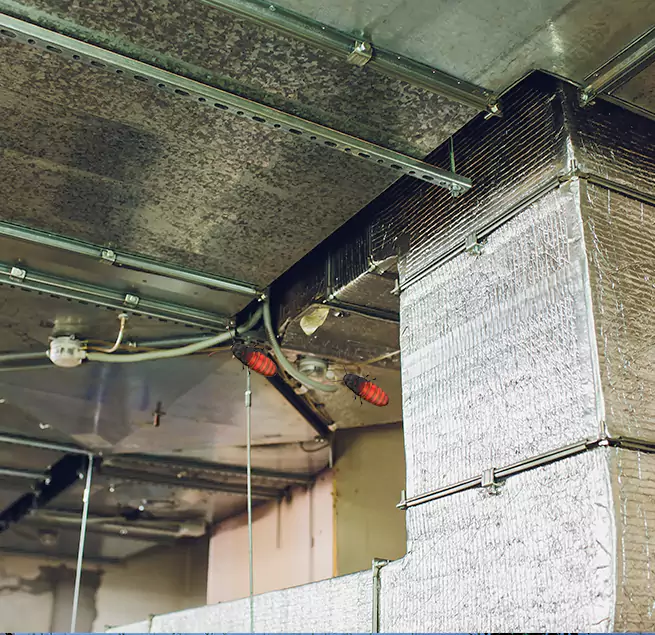 Why Homeowners & Businesses Trust Us in Woburn, MA?