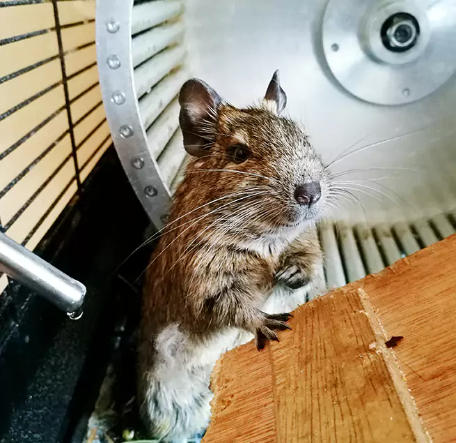 Why Homeowners & Businesses Trust Us Woburn, MA